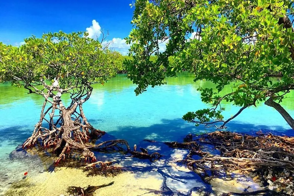 Appartement Vista Mare 101-Lovely Rental Close To Playa Santa Guanica Puerto Rico